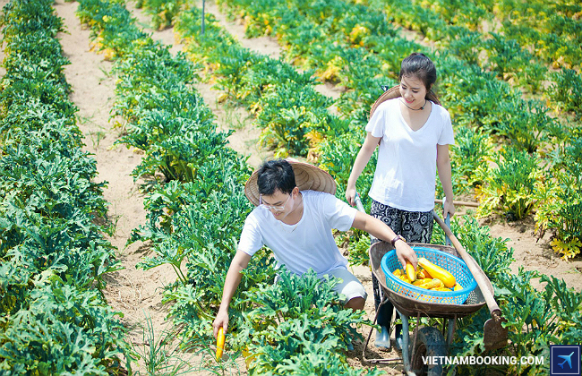 ban do khu du lich vung tau