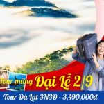 Tour Du Lịch Đà Lạt 3 Ngày 3 Đêm: Khám Phá Thiên Đường Săn Mây