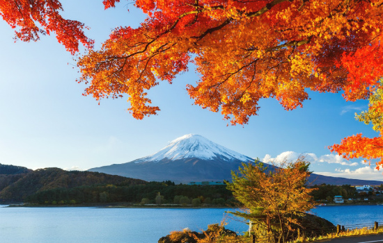 Mùa thu lá đỏ và 4 điều cần biết khi đi du lịch Nhật Bản