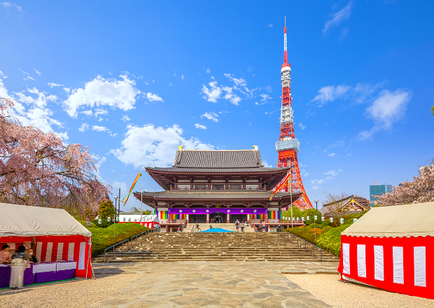 Tour du xuân Nhật Bản 4N3Đ | Tokyo – Hakone – Núi Phú Sĩ – Yokohama | Giá ưu đãi