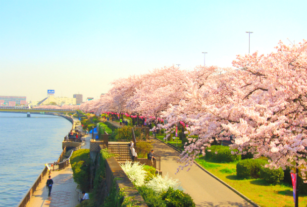 Tour du xuân Nhật Bản 4N3Đ | Tokyo – Hakone – Núi Phú Sĩ – Yokohama | Giá ưu đãi