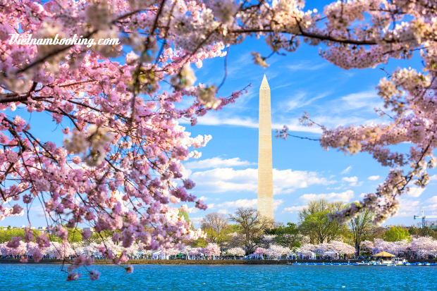 Tour du lịch Mỹ 8N7Đ: Chiêm ngưỡng vẻ đẹp Washington D.C | Khám phá New York – Philadelphia