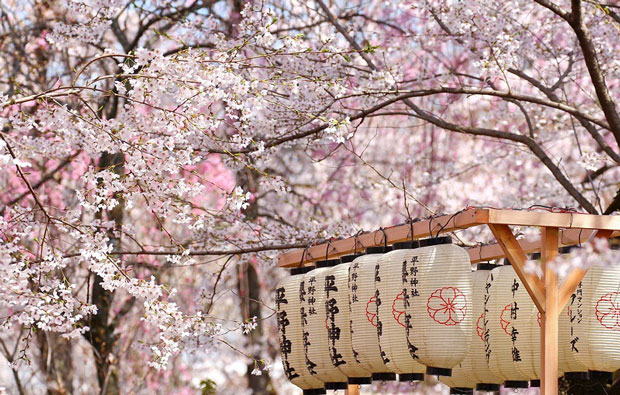 Du lịch Nhật Bản mùa nào đẹp nhất? Mùa thu hay mùa hoa anh đào?