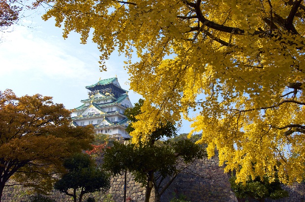 Lâu đài Osaka | Tour Nhật Bản Osaka – Kyoto – Wakayama