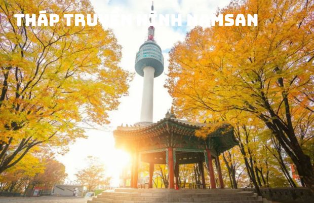 Tour du lịch Hàn Quốc từ Đà Nẵng 5N4Đ mùa hè trải nghiệm những địa điểm hấp dẫn