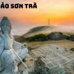 Tour Sơn Trà Ngũ Hành Sơn Hội An 1 Ngày – Hành Trình Trải Nghiệm Di Sản Phố Cổ