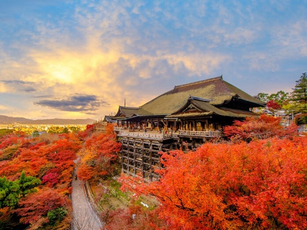 Những hoạt động gì nên trải nghiệm để thưởng ngoạn cảnh đẹp tại Kyoto?