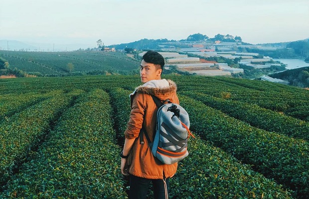 Tour du lịch Ninh Thuận Đà Lạt 4N4Đ: Hang Rái – Vĩnh Hy – Đường Hầm Đất Sét – Đồi Chè – Cà phê Mê Linh