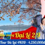 Tour Đà Lạt 4 Ngày 3 Đêm: Trải Nghiệm Thiên Đường Ngàn Hoa Đầy Thú Vị