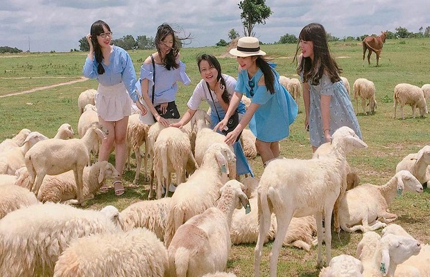 tour du lịch Vũng Tàu - Đồng Cừu Suối Nghệ