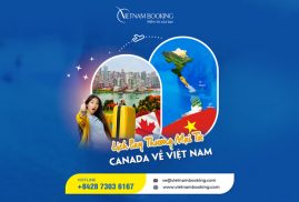 Vé máy bay từ Canada về Việt Nam | Cập nhật lịch bay 2024