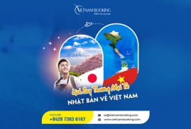 Vé máy bay từ Nhật Bản về Việt Nam, Có lịch bay hàng tuần