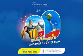 Vé máy bay từ Singapore về Việt Nam, Update lịch bay hàng tháng
