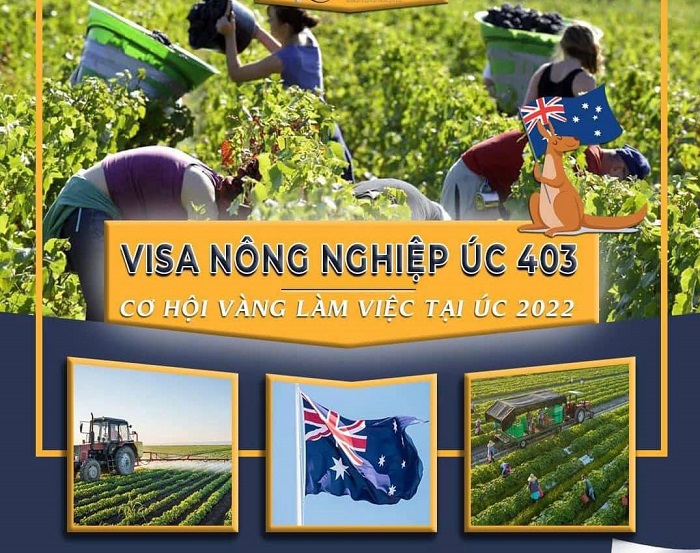 Visa 403 Úc Là Gì?