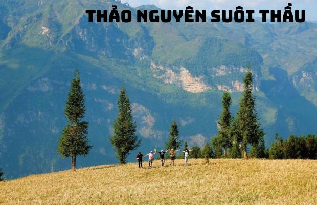 Tour Hà Giang Giá Rẻ từ TP.HCM: Khám Phá Vùng Cao 5 Ngày 4 Đêm – Ưu Đãi Đặc Biệt Tại Vietnam Booking