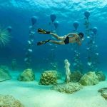 Ayia Napa bảo tàng dưới nước vô cùng độc đáo tại Síp