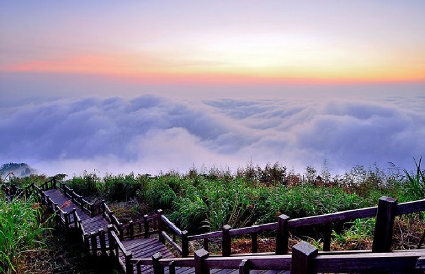 Tour du lịch Đài Loan - Núi Alishan