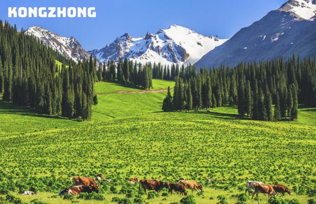 Tour du lịch Tân Cương Trung Quốc 9 ngày 9 đêm – Con đường tơ lụa: Khám phá thảo nguyên ngày hè