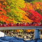 Tất tần tật bí kíp du lịch bụi Nhật Bản từ A đến Z
