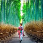Con đường xuyên rừng tre Arashiyama – Thiên đường trên mặt đất ở Nhật Bản