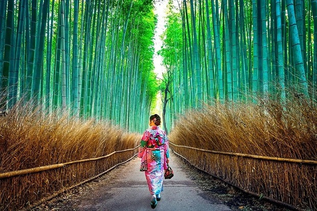 Con đường xuyên rừng tre Arashiyama – Thiên đường trên mặt đất ở Nhật Bản