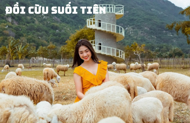 Tour Bình Hưng 2 ngày 2 đêm mùa hè | Vịnh Vĩnh Hy – Đồi Cừu – Vườn Nho