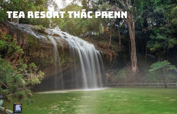 Tour Sài Gòn – Đà Lạt – Tea Resort – Thác Prenn 3N3Đ hè 2024