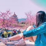 Top 5 địa điểm ngắm hoa anh đào đẹp ở Đài Loan mà bạn nên đến