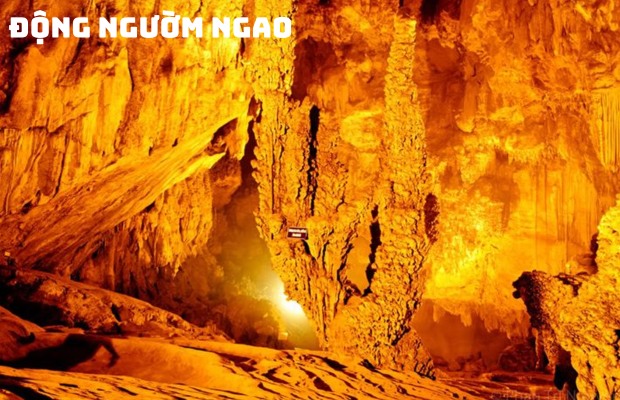 Tour Đông Bắc số 1 Hà Giang Cao Bằng Bắc Kạn 5N4Đ giá tốt