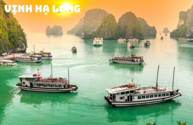 Tour Hà Nội Hạ Long Ninh Bình Sapa Lào Cai 5N4Đ | Hà Nội City Tour – Tràng An – Vịnh Hạ Long – Fansipan