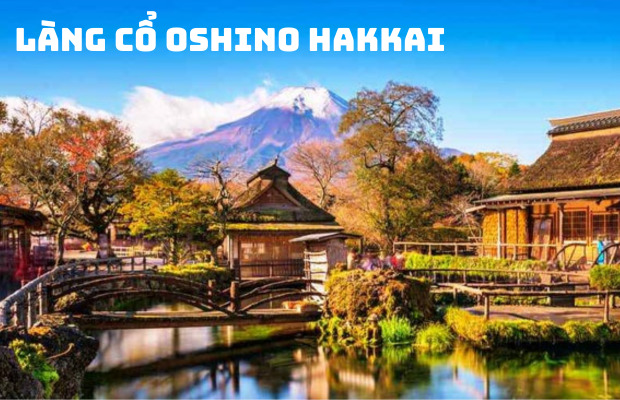 Tour Nhật Bản 5N4Đ Narita Tokyo Yamanashi | Núi Phú Sĩ – Làng Oshino Hakkai – Odaiba