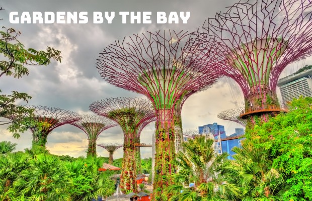 Tour Singapore 4N3Đ: Đảo Sentosa – Merlion Park – Garden By The Bay