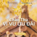 Chào thu cùng Vietnam Airlines, ưu đãi lên đến 30%