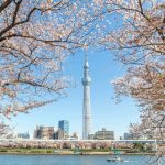 Lịch bay Đà Nẵng đi Tokyo Narita hàng ngày