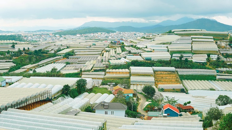 trại mát đà lạt