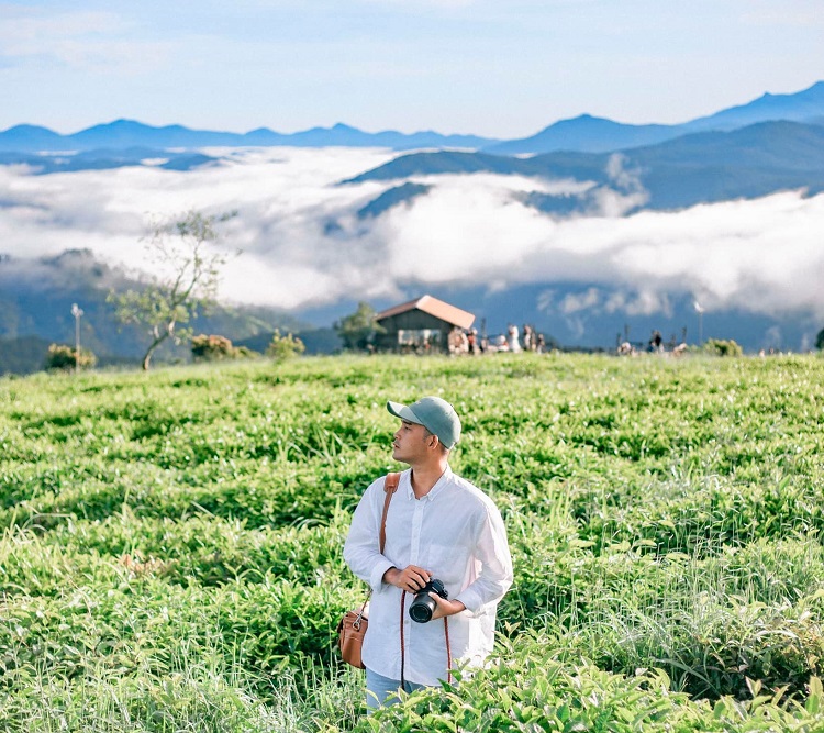 Đồi chè Cầu Đất